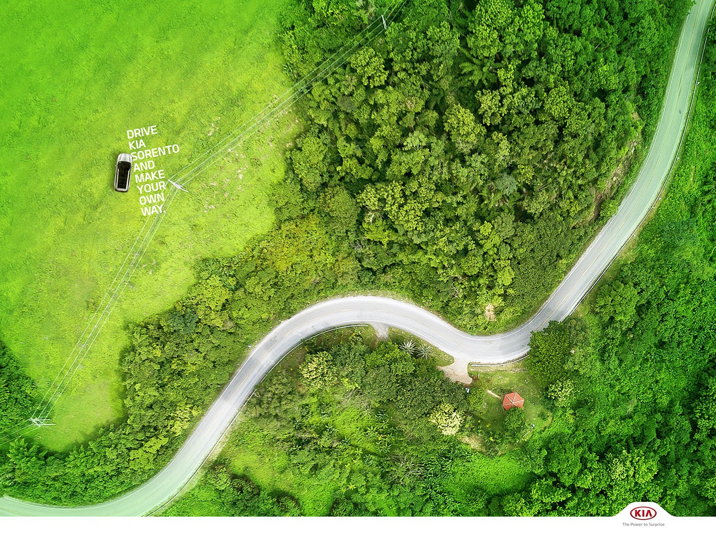 Faço meu Caminho