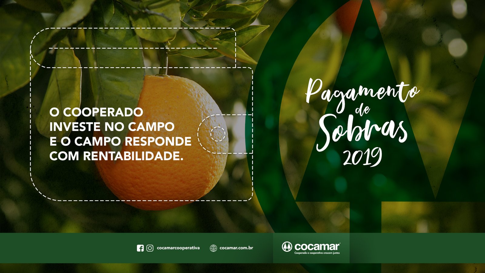 Pagamento