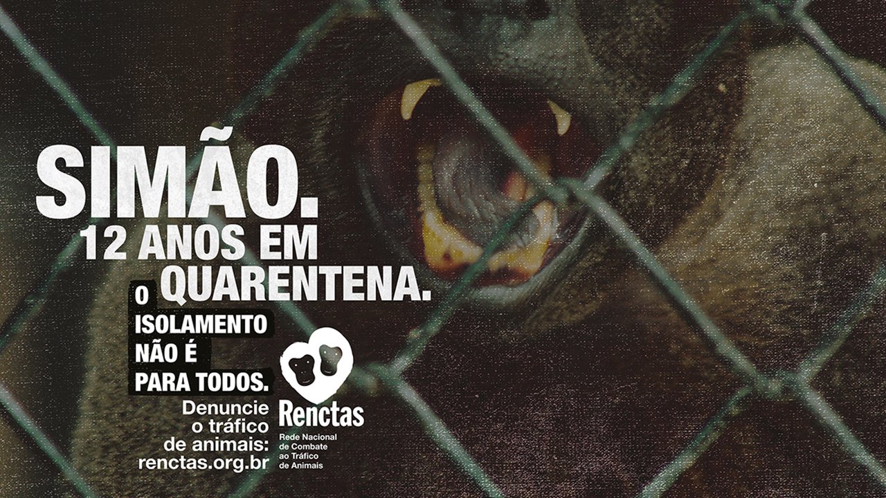 O ISOLAMENTO NÃO É PARA TODOS.