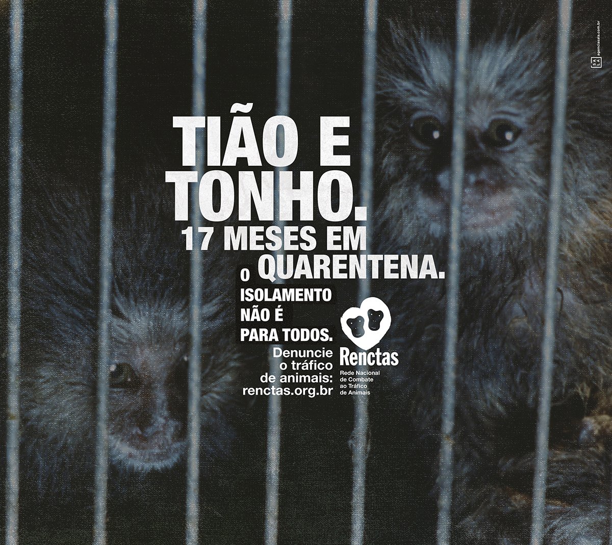 O ISOLAMENTO NÃO É PARA TODOS.