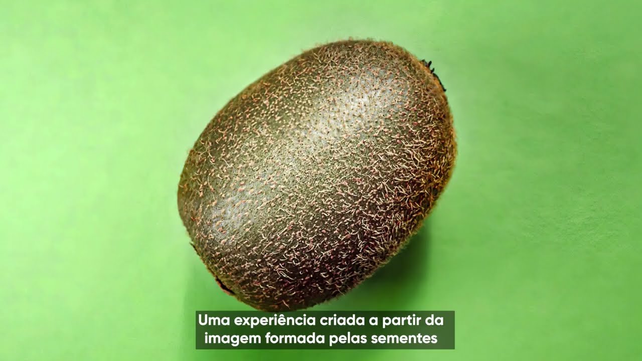 Trilha do Kiwi